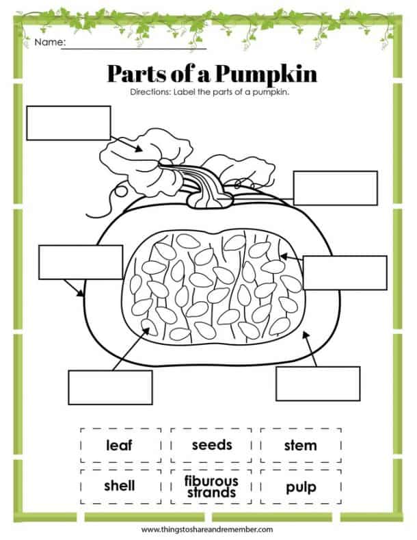 Printable Pumpkin Activities Share Remember Celebrating Child Home