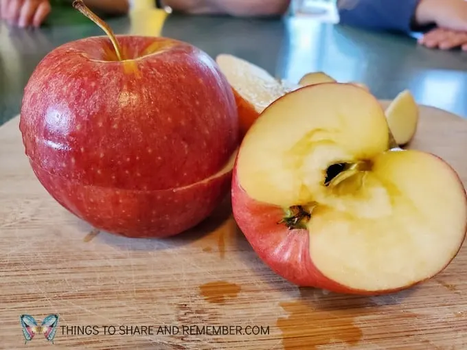 Printable Apple Activities