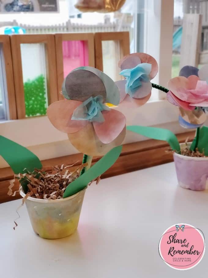 Amazon Orchids | Explore the Rainforest Experience Preschool theme