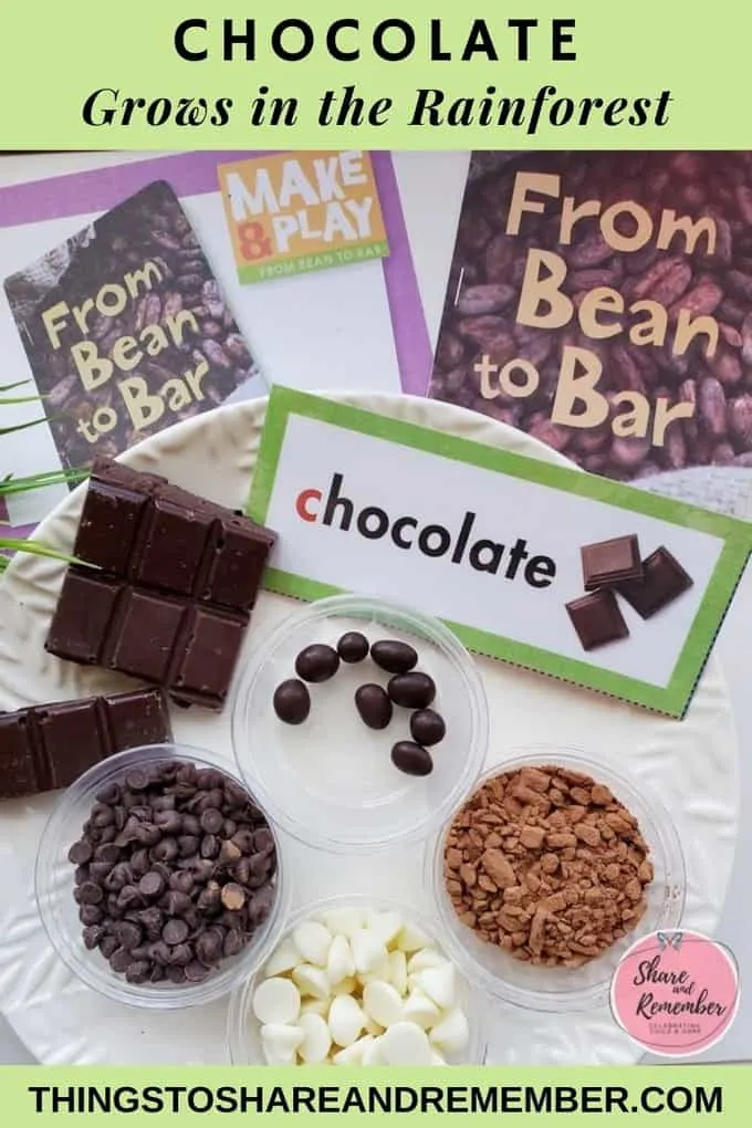chocolate grows in the rainforest preschool lesson from Experience Preschool