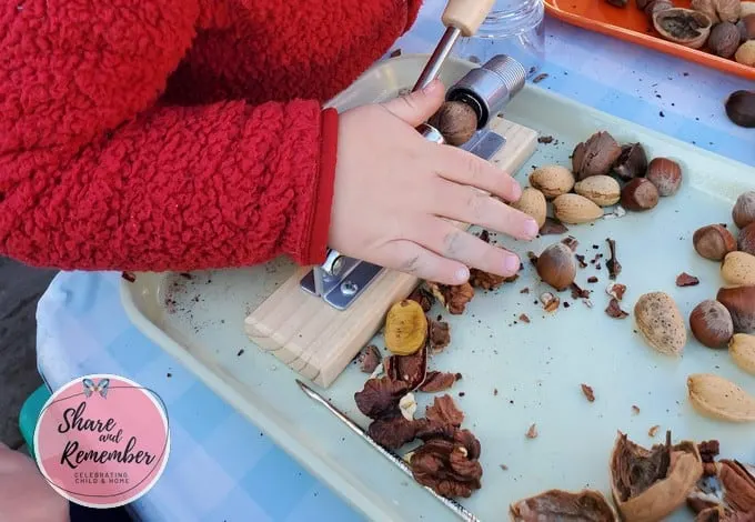 Using tools to crack nuts in preschool