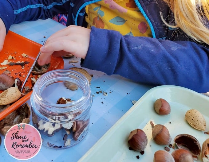 Using tools to crack nuts in preschool