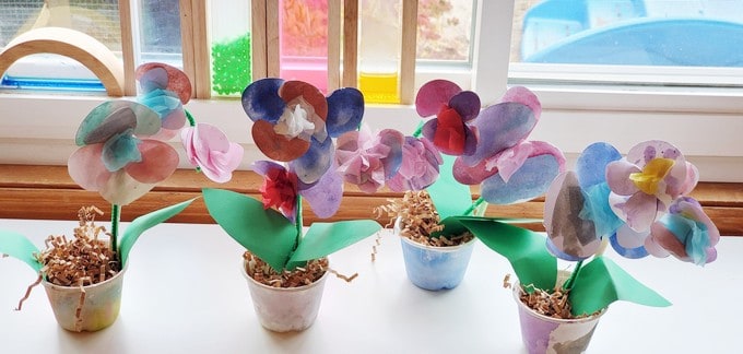orchid plants made in preschool