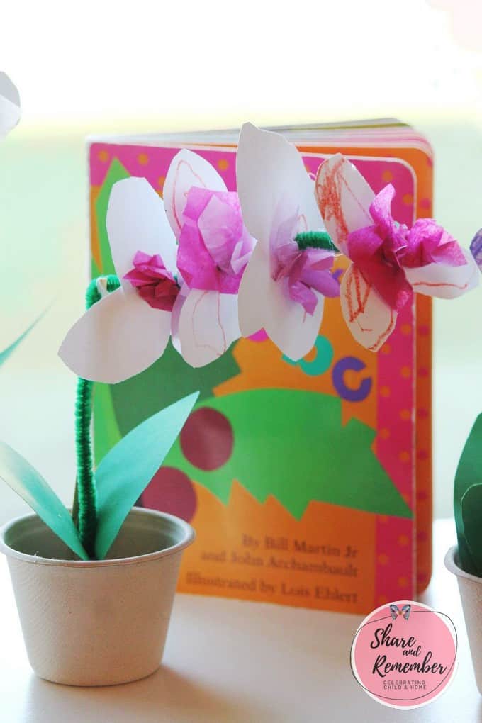 Amazon Orchids | Explore the Rainforest Experience Preschool theme
