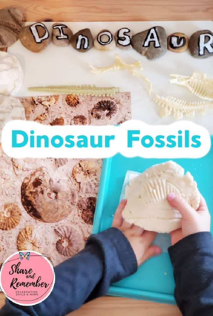 Dinosaur Fossils Crafts & Activities for Preschoolers - Salt dough fossils