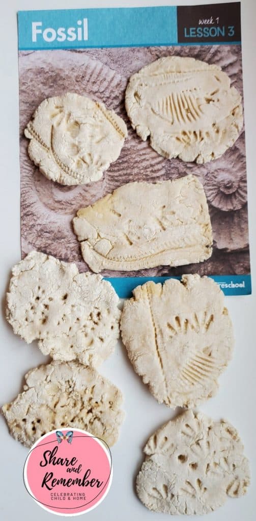 fossils Experience Preschool lessons