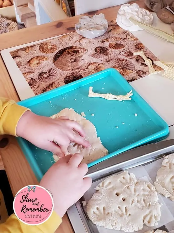 making fossils with salt dough Dinosaur Fossils Crafts & Activities for Preschoolers