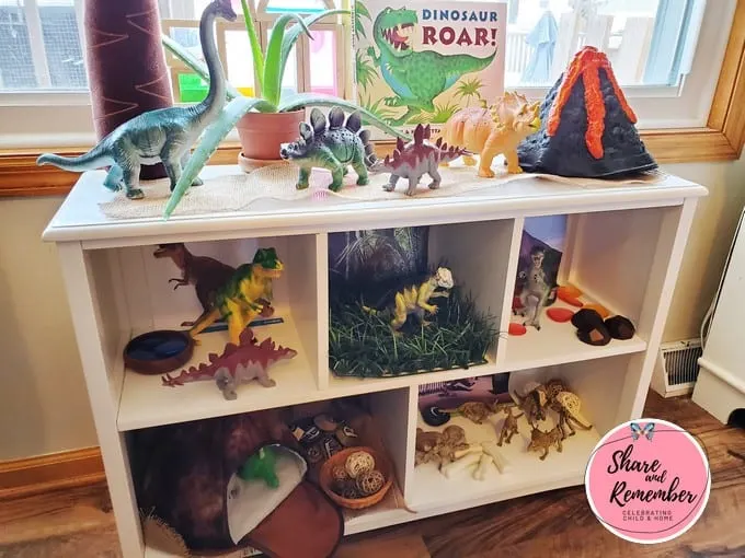 Dinosaur Habitat Play shelf in early childhood education envionrment