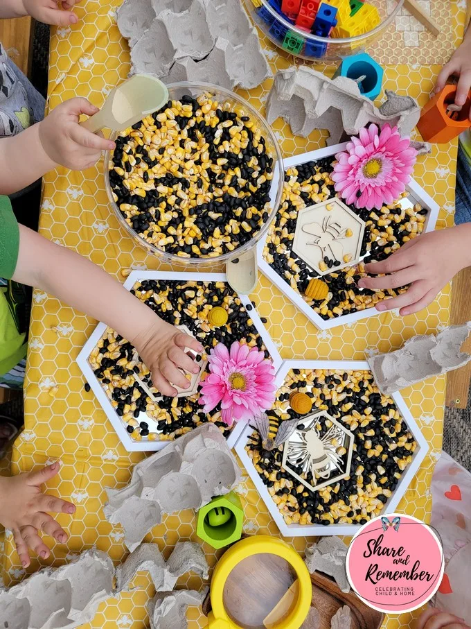 Design a Beehive Sensory & STEAM Activities for Preschoolers