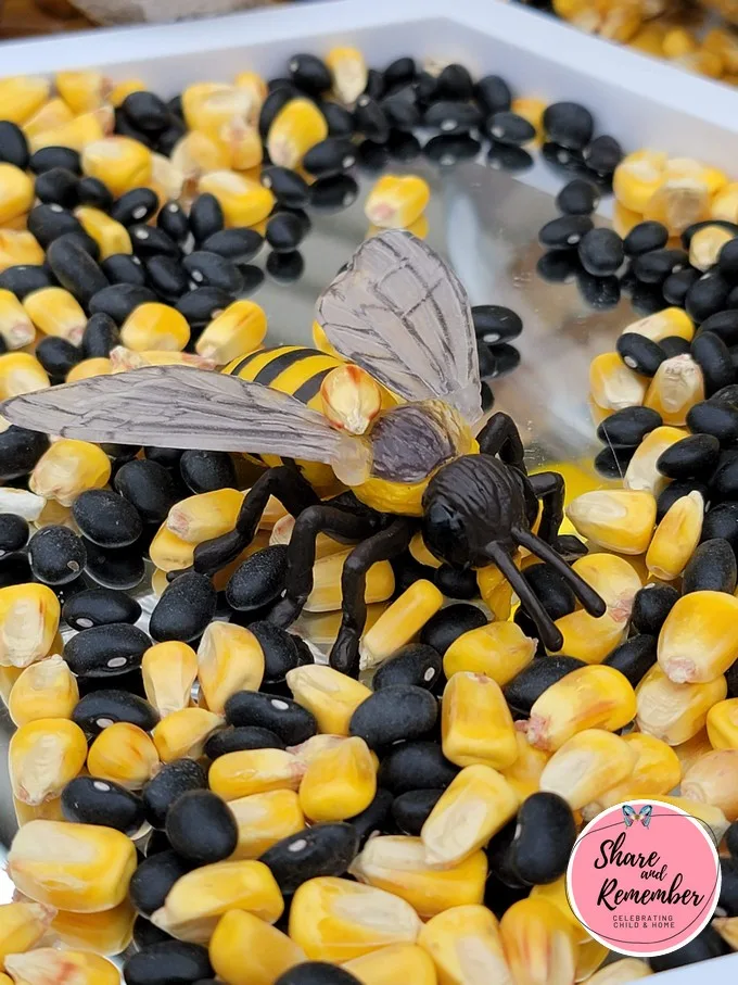 Design a Beehive Sensory & STEAM Activities for Preschoolers