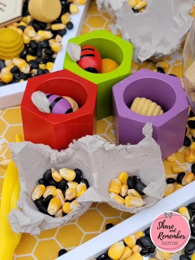 beehive toys for preschool