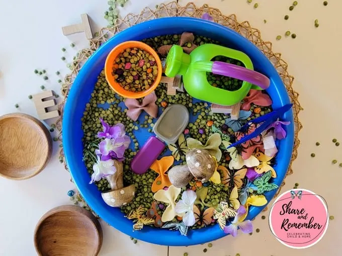 Real look at the butterfly sensory tray after children played with it.