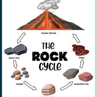 Rock Cycle Printable Activities » Share &amp; Remember | Celebrating Child ...