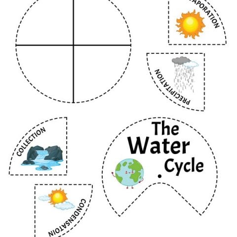 The Water Cycle Printables » Share & Remember | Celebrating Child & Home