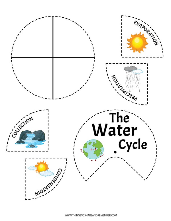 The Water Cycle Wheel