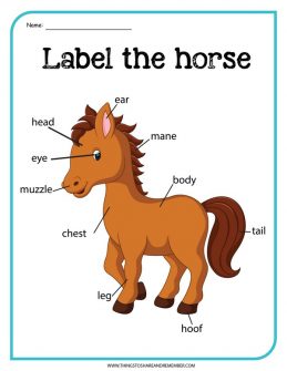 Horse Printable Activities » Share &amp; Remember | Celebrating Child &amp; Home