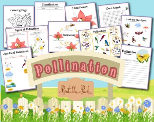 All About Pollination Printables » Share &amp; Remember | Celebrating Child ...