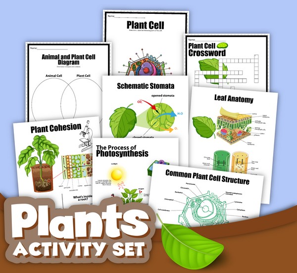 Plants Activity Set