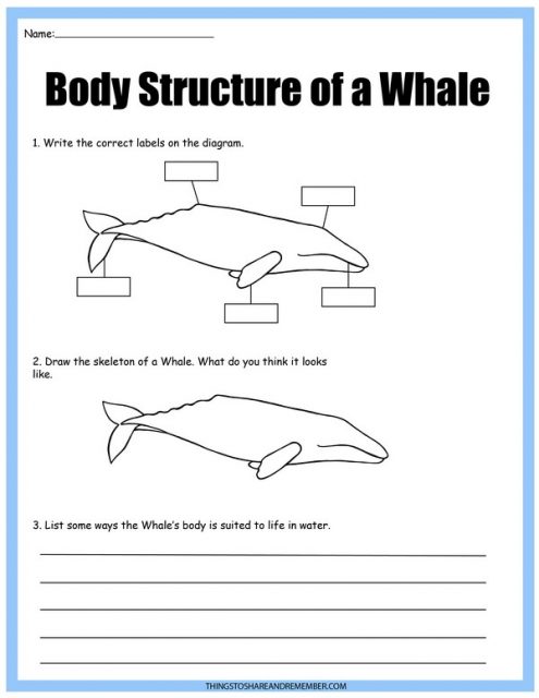 All About Whales Printables » Share &amp; Remember | Celebrating Child &amp; Home