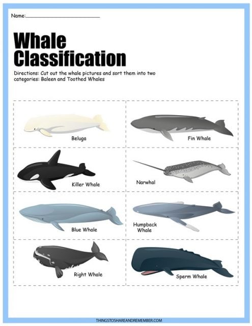 All About Whales Printables » Share &amp; Remember | Celebrating Child &amp; Home