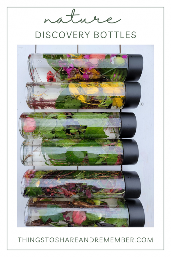 Create Calming Nature Discovery & Sensory Bottles with Kids » Things to ...