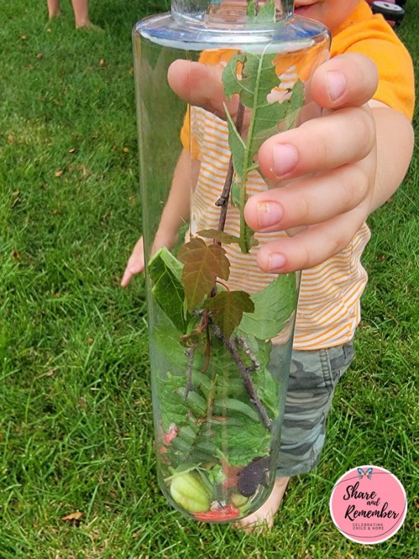 Create Calming Nature Discovery & Sensory Bottles with Kids » Things to ...
