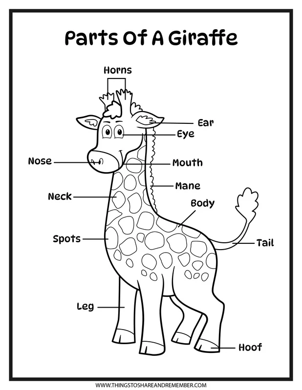 parts of a giraffe printable poster